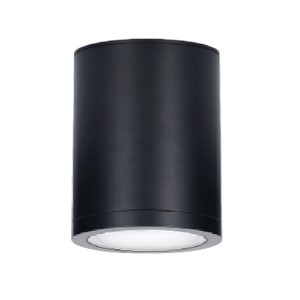 Đèn led ốp trần 20W BNT-7100T